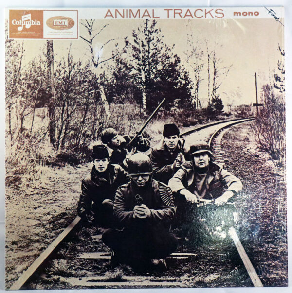 Animal Tracks